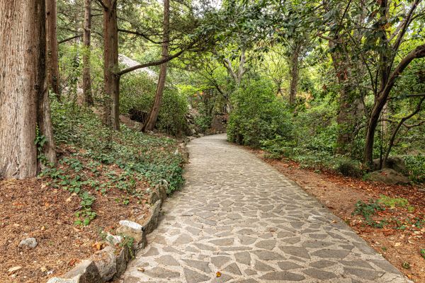 Stone Walkway Repair in Elmhurst