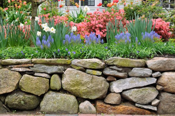 Stone Wall Hardscaping in Elmhurst