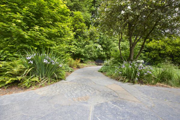 Stone Hardscape Service in Elmhurst