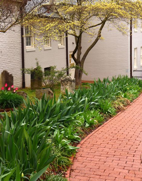 Brick Flatwork Repair in Elmhurst